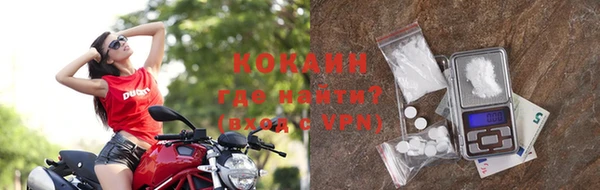 ALPHA PVP Гусев