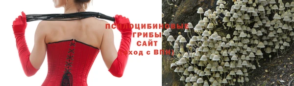 ALPHA PVP Гусев