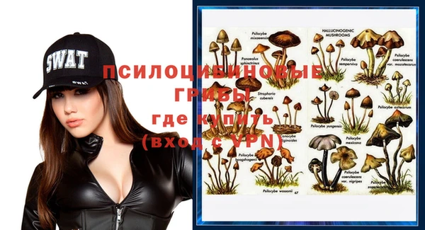 прущая мука Горняк