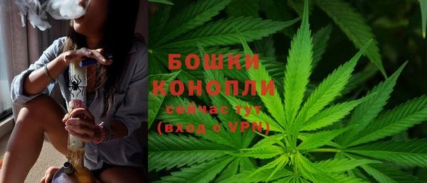прущая мука Горняк
