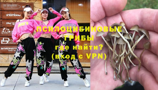 прущая мука Горняк