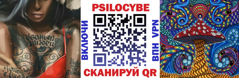 Купить Мосальск Галлюциногенные грибы прущие грибы